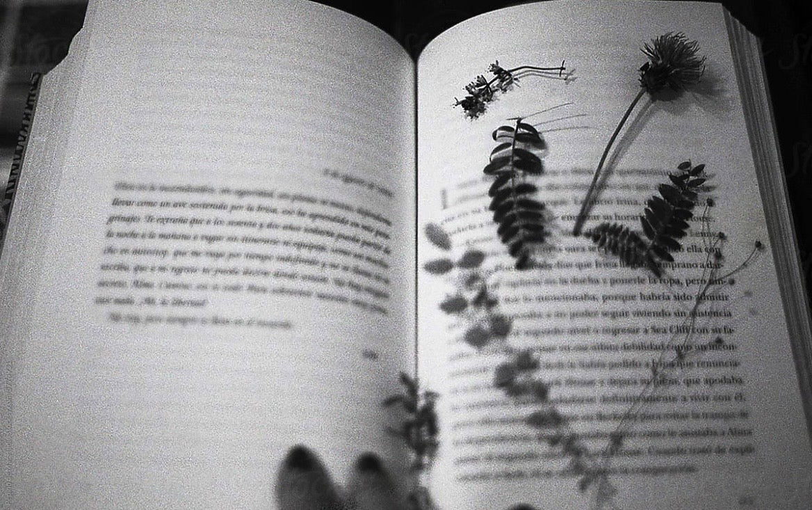 Open book with pressed flowers on a black and white background